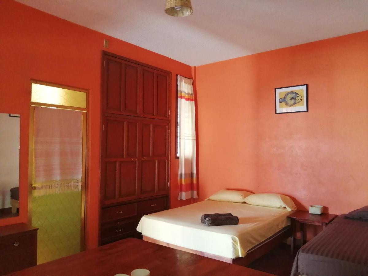 Hostal Alegria De Oaxaca Extérieur photo